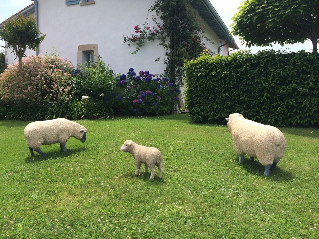 Les Volets Bleus Bed & Breakfast Arcangues Eksteriør bilde