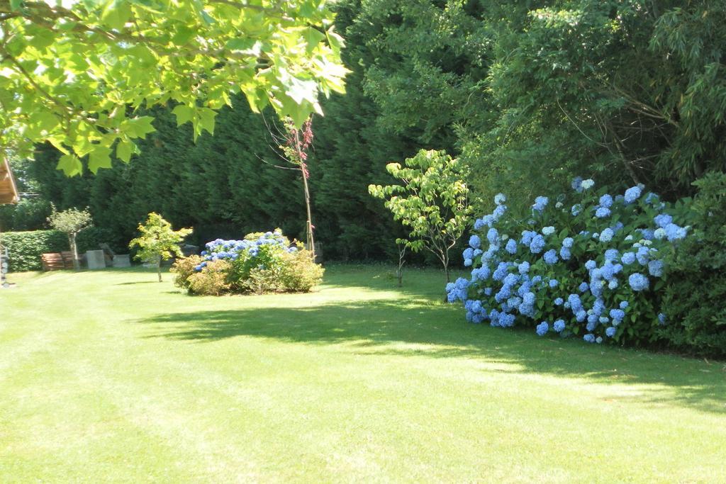Les Volets Bleus Bed & Breakfast Arcangues Eksteriør bilde